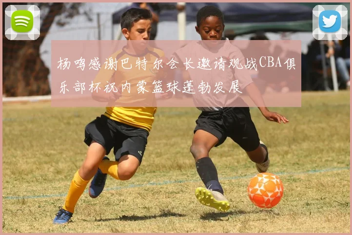 杨鸣感谢巴特尔会长邀请观战CBA俱乐部杯祝内蒙篮球蓬勃发展