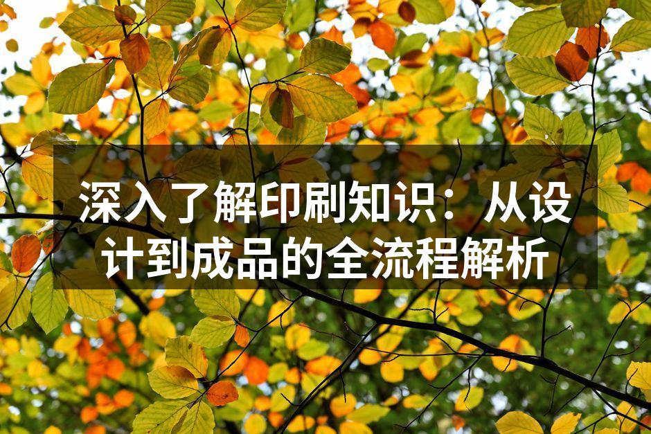 印刷流程概览